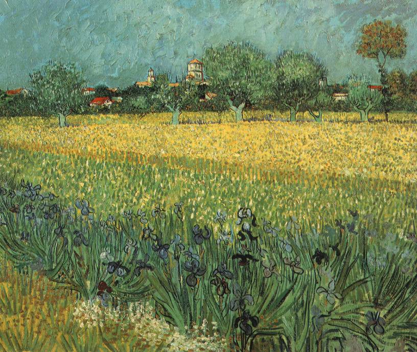 View of Arles with Irises - 1888 - Oil on canvas -54 x 65 cm. - Van Gogh Museum, Amsterdam