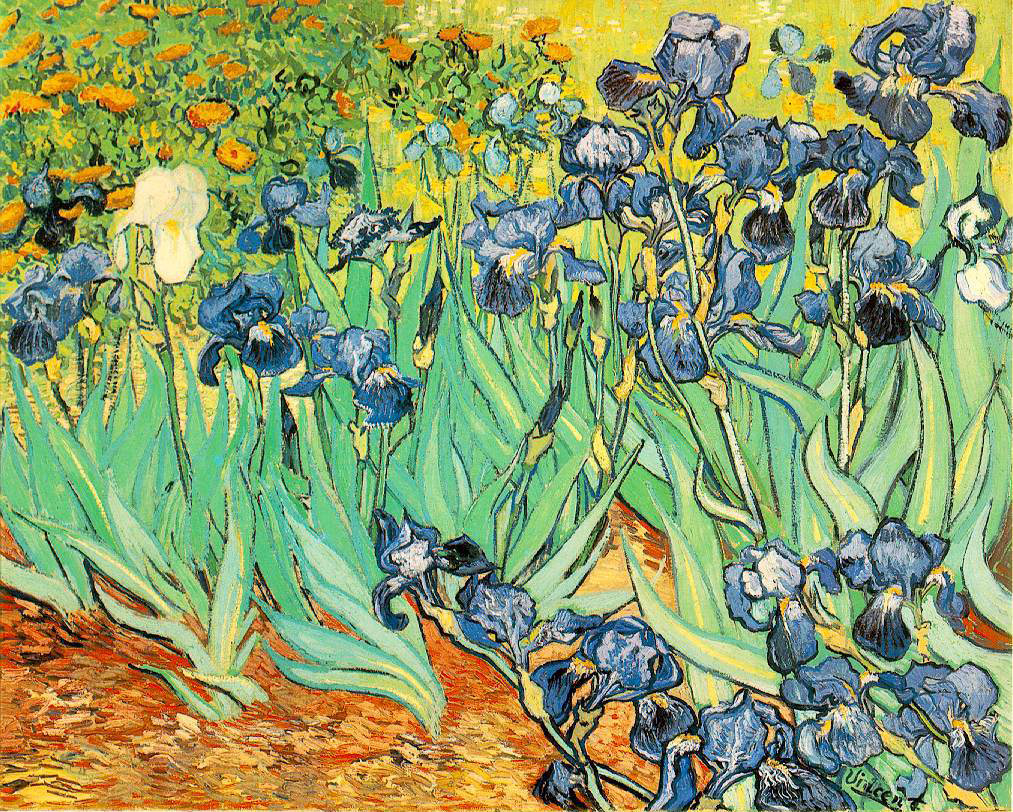 Irises - 1889 - Oil on canvas - 71 x 93 cm - Payson Gallery of Art, Portland, Maine or Getty Museum, California